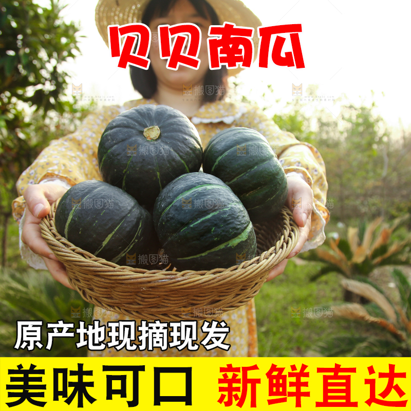 手里端着一篮贝贝南瓜