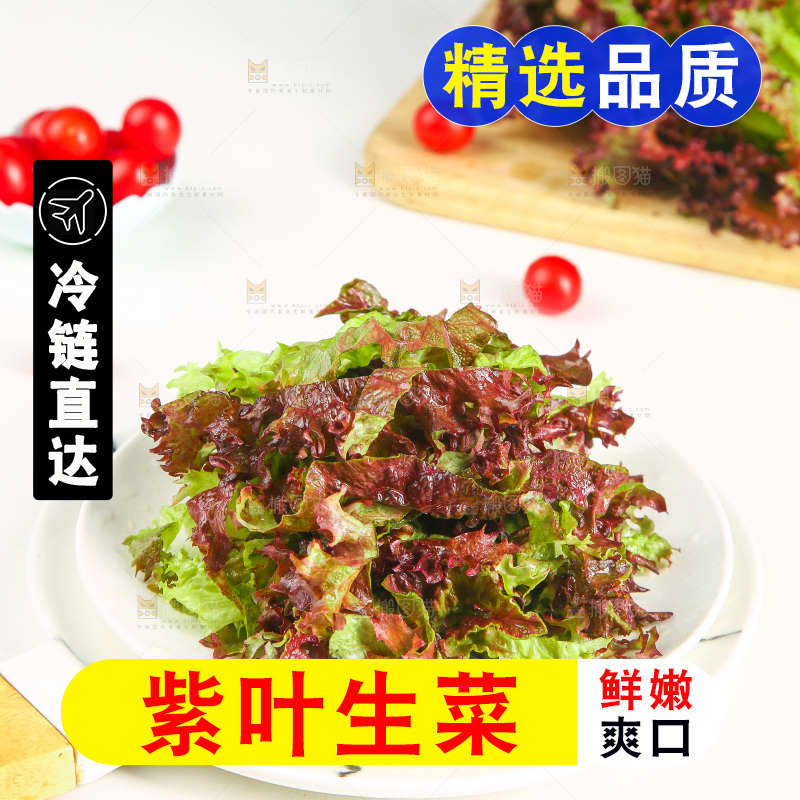 一盘红叶生菜