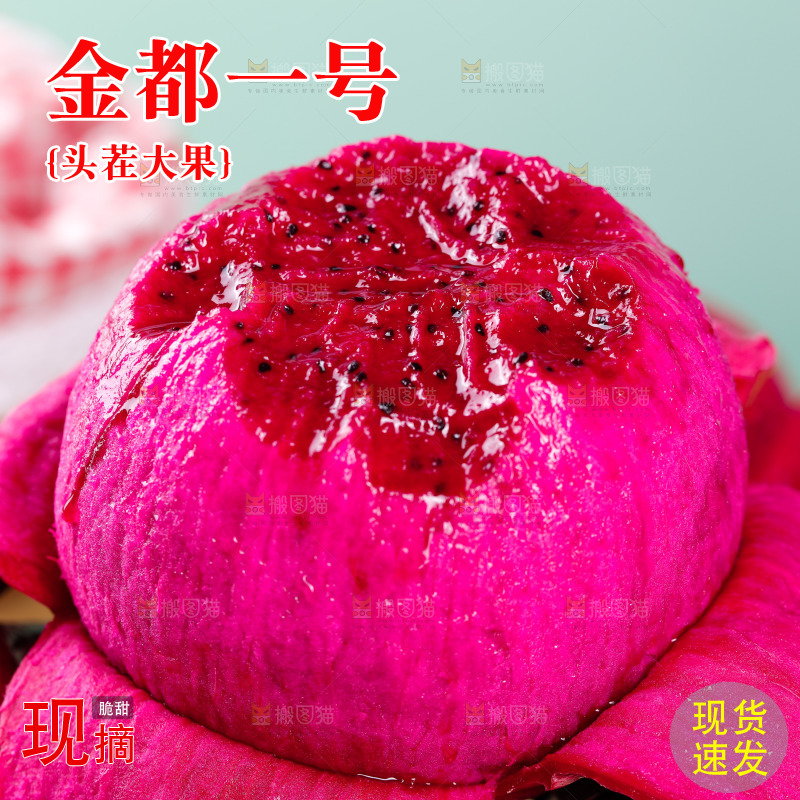 新鲜的金都一号红心火龙果