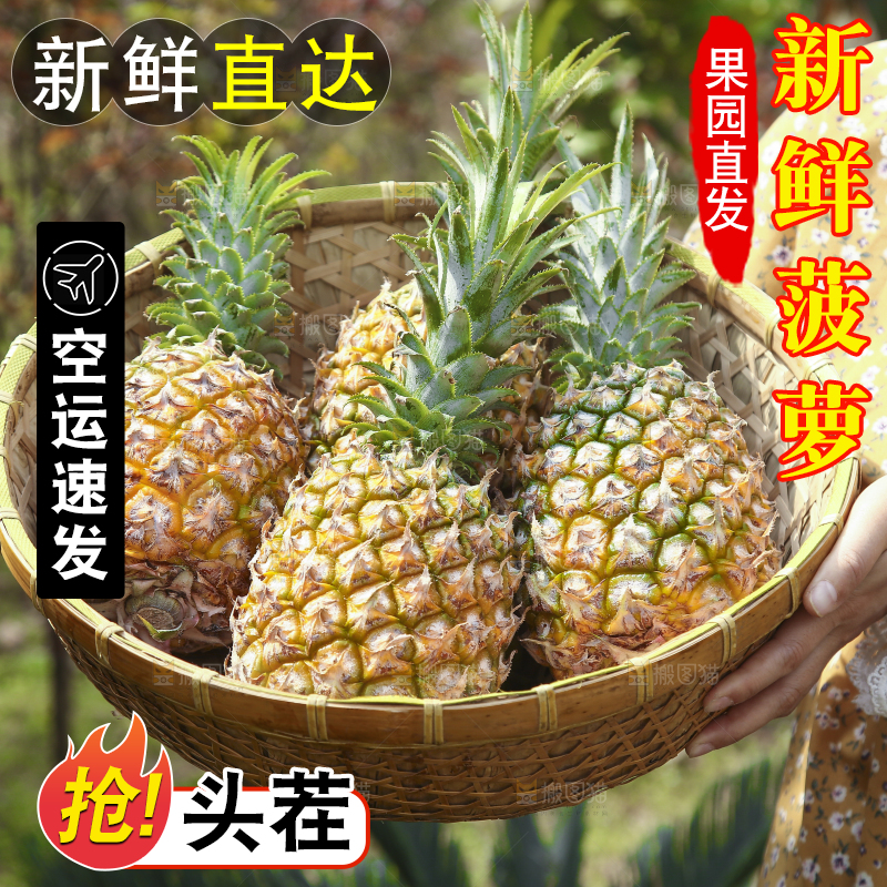 一篮新鲜菠萝