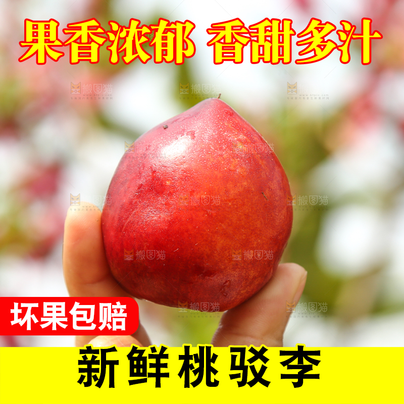 手里拿着油桃