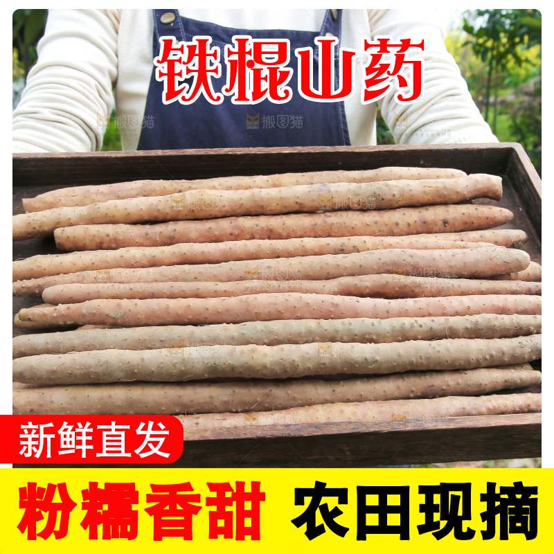 一盘铁棍山药
