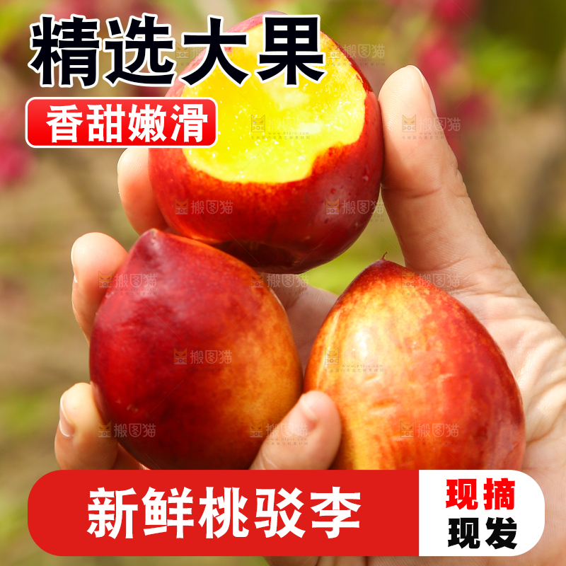 手里拿着油桃
