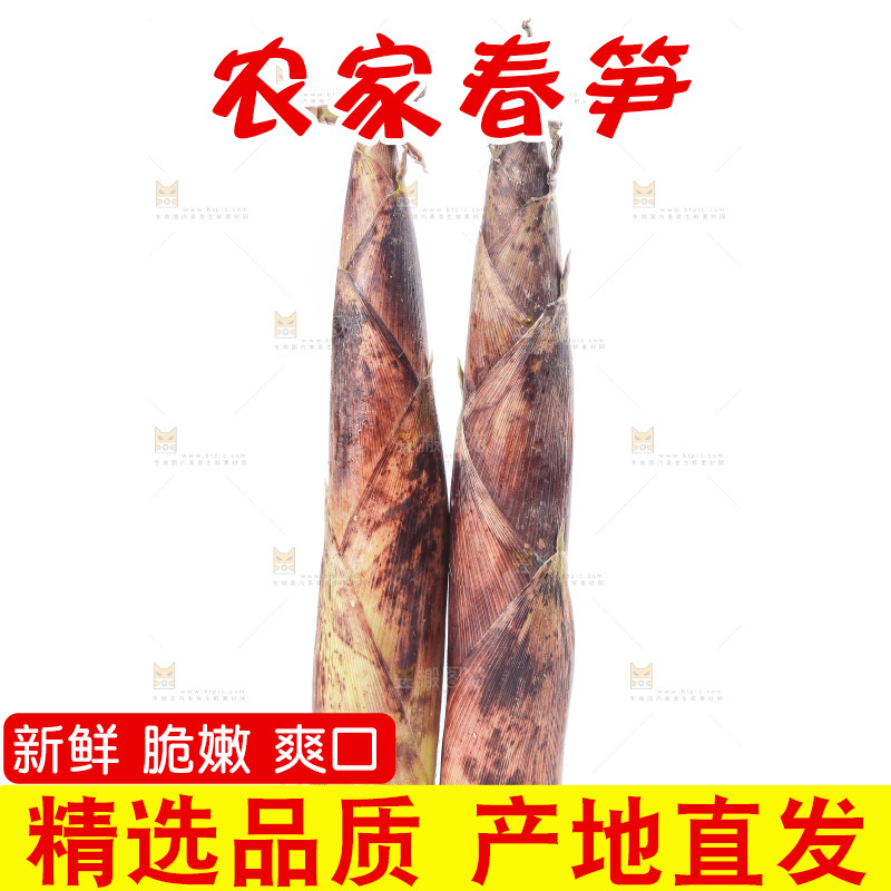 白底上摆放着春雷笋
