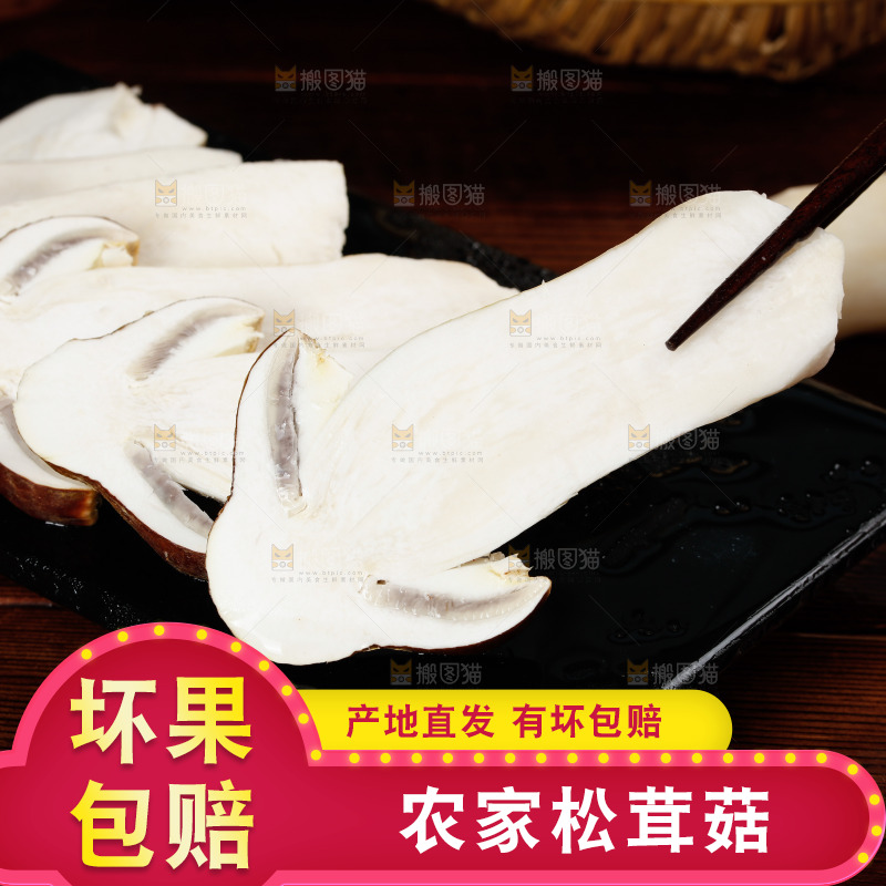 筷子上夹着松茸