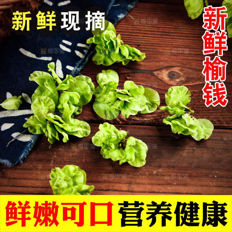 木底上的榆钱