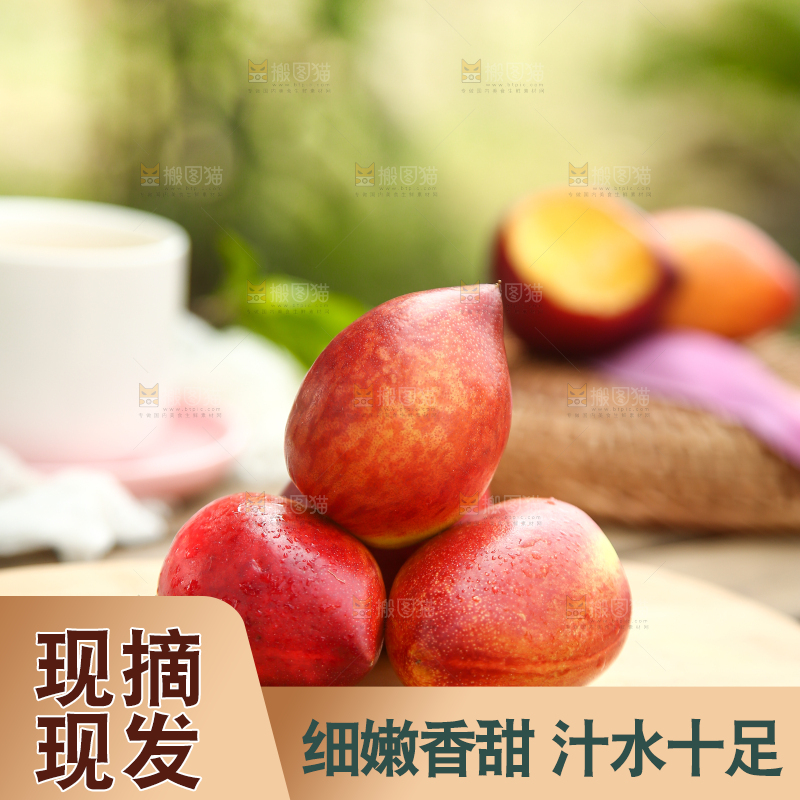 木底上的澳洲桃驳李
