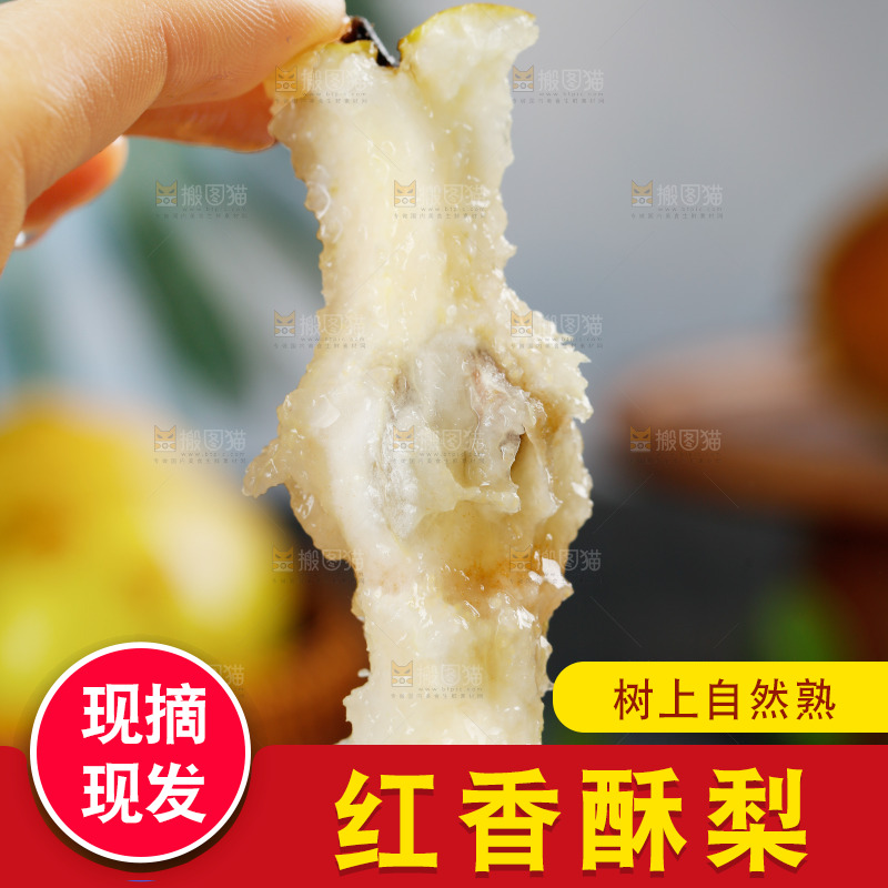 手里拿着红香酥梨核