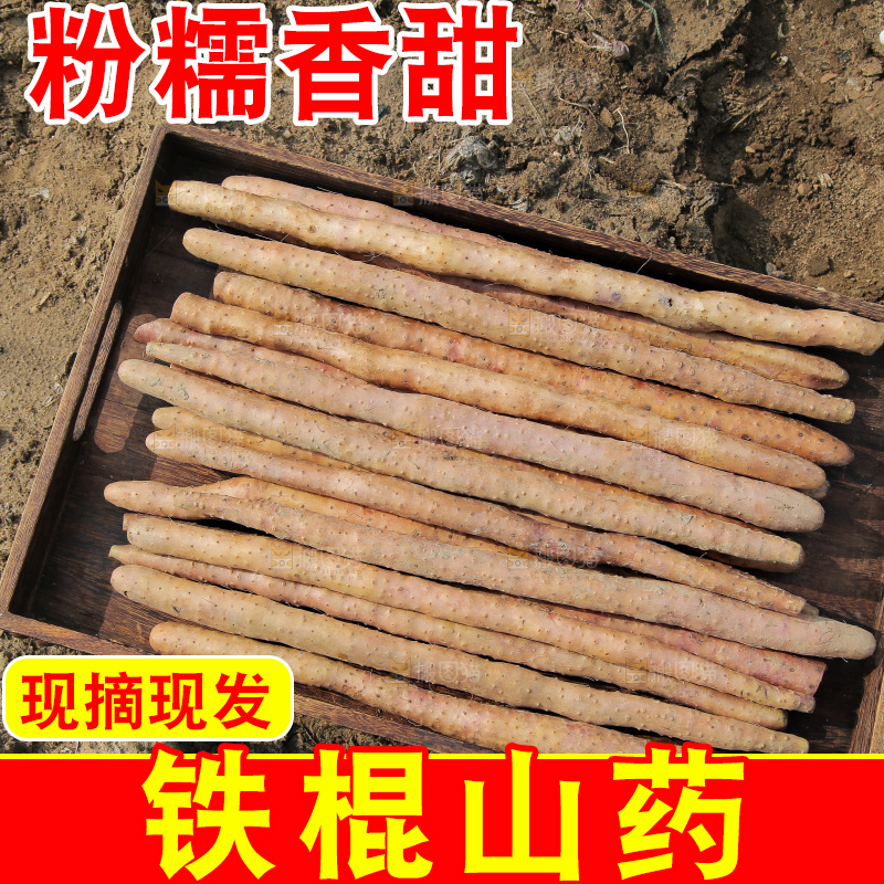 一盘铁棍山药