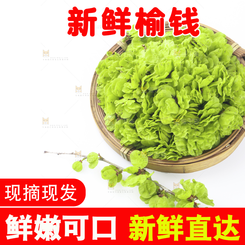 一篮榆钱叶