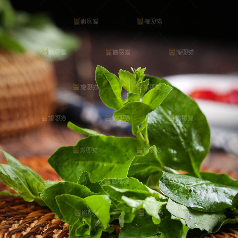 藤垫上放着枸杞菜芽