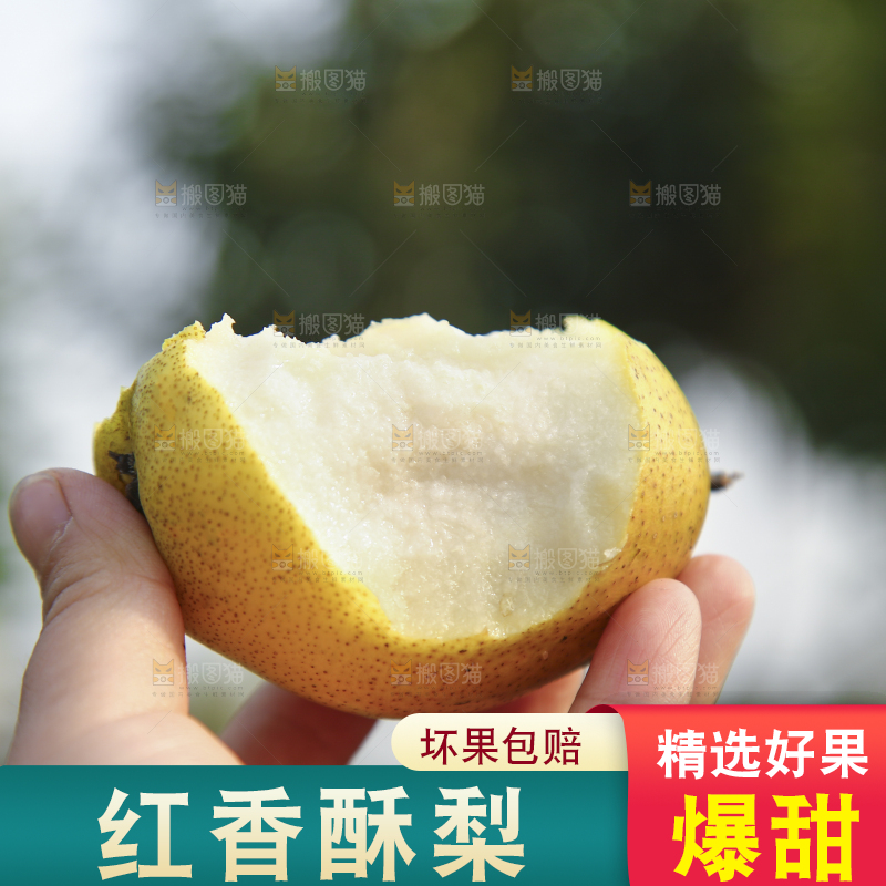 手里拿着香酥梨