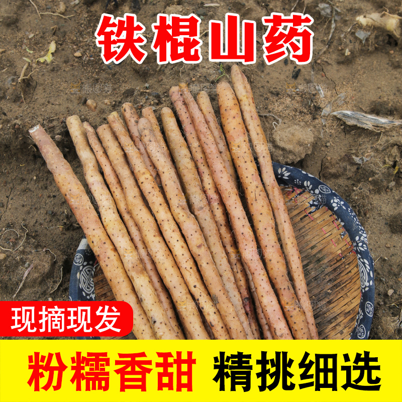 篮子里装着山药
