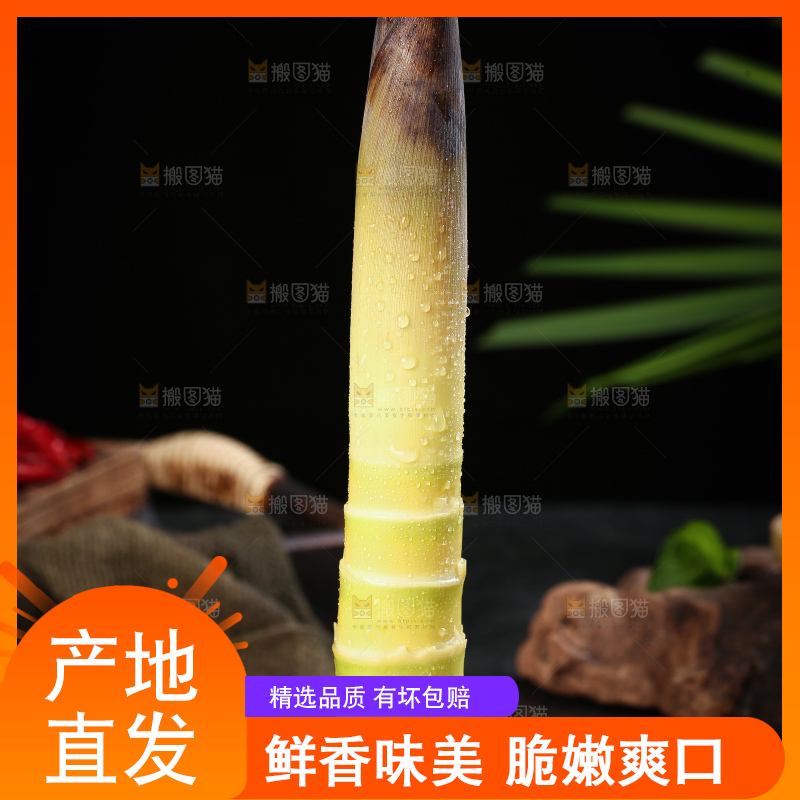 木底上的雷竹笋