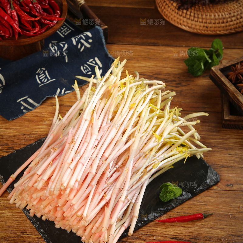 一堆新鲜鱼腥草嫩芽