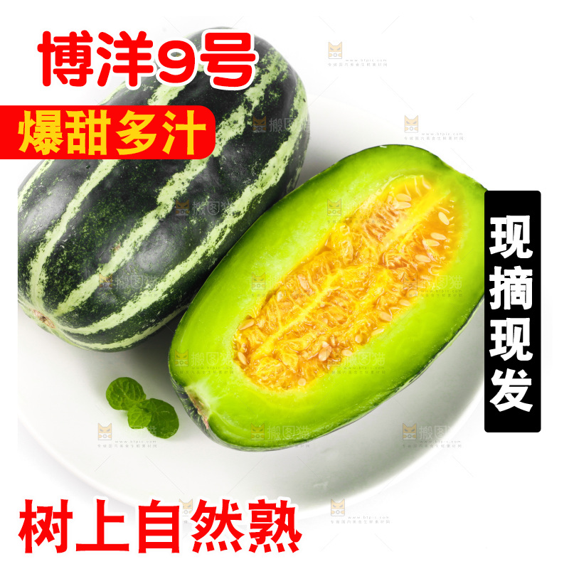 盘子里装着博洋9号