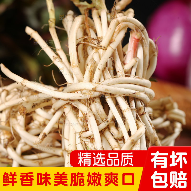 黑石板上放着鱼腥草