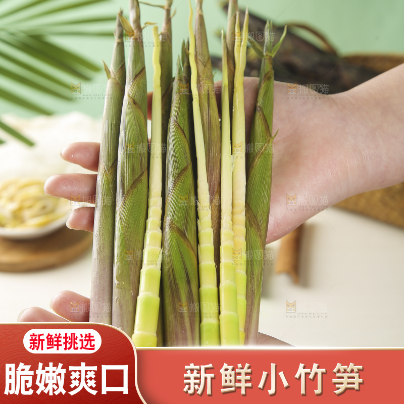 手里拿着小春笋