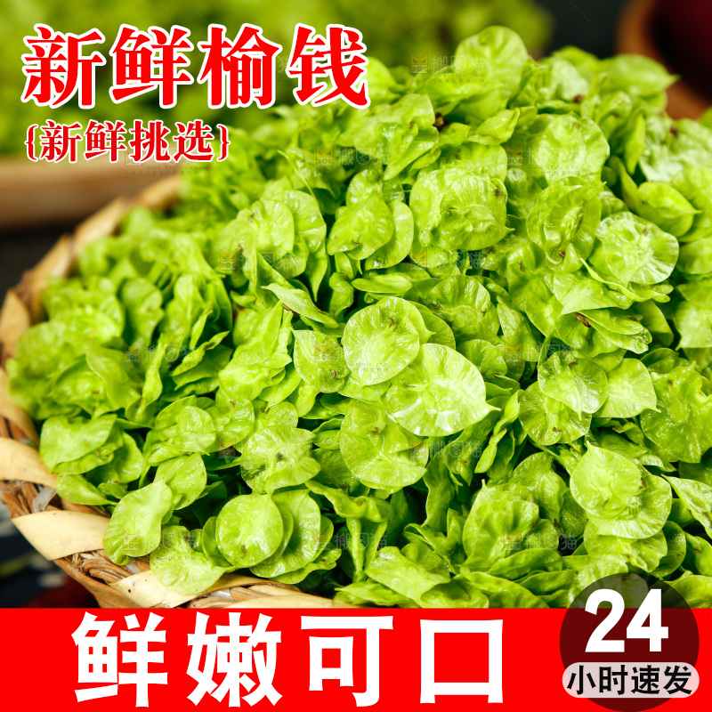 一篮野生榆钱