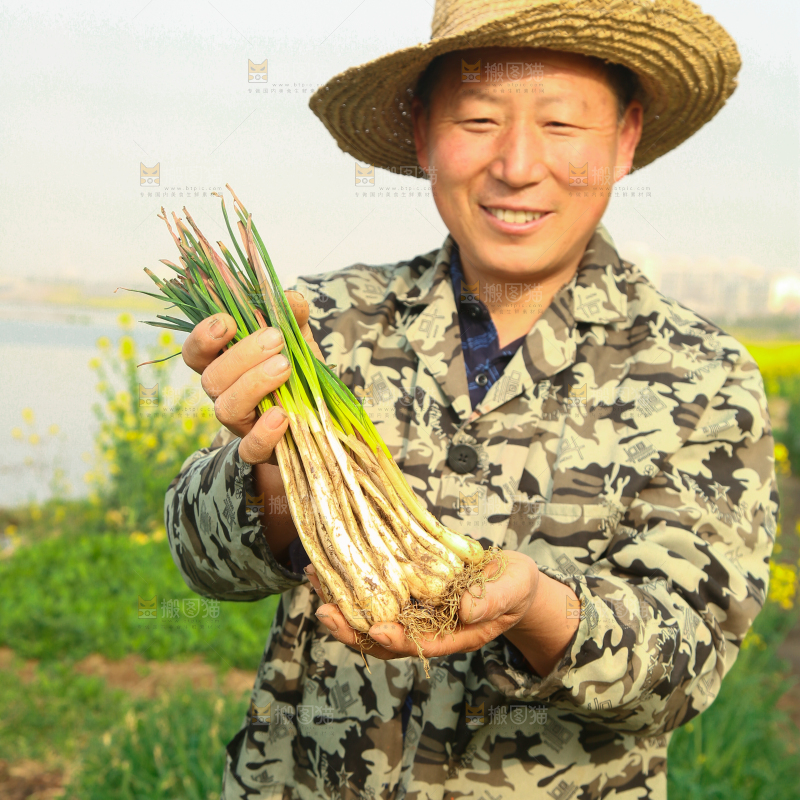 手里拿着荞头