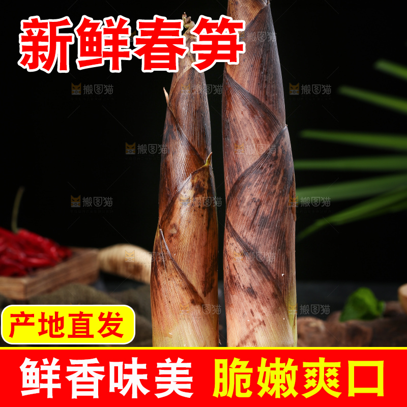 木底上的雷竹笋