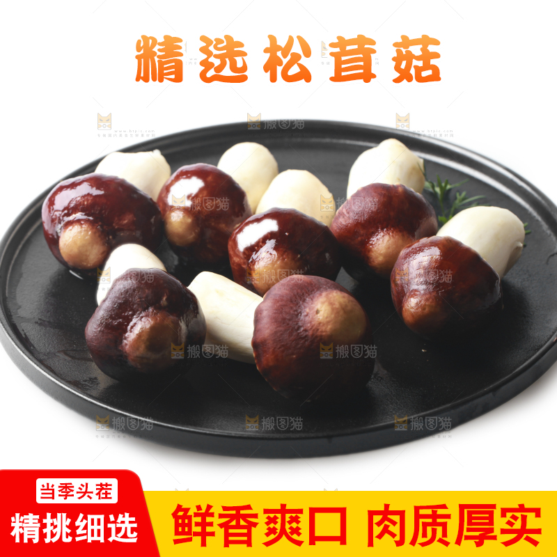 一盘松茸菇摆放在白底上