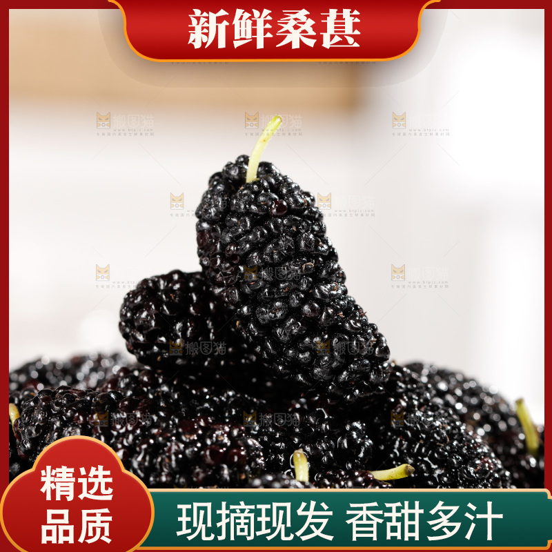 一堆黑桑葚