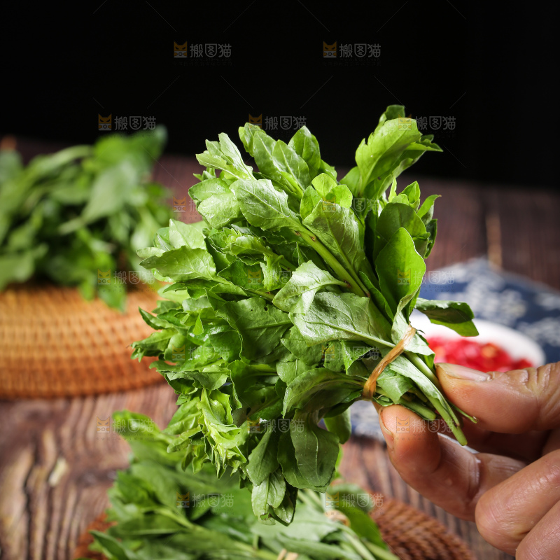 手里拿着枸杞嫩芽