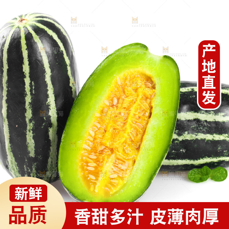 白底上摆放着博洋9号甜瓜