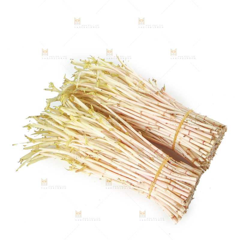 白底上放着折耳根嫩芽