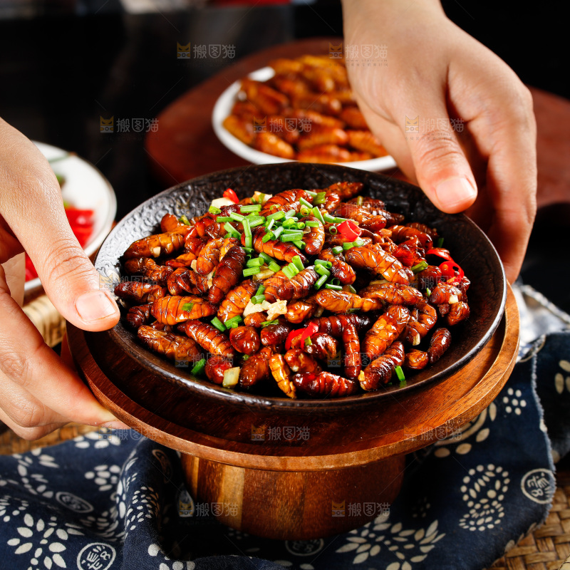 一盘干煸蚕蛹