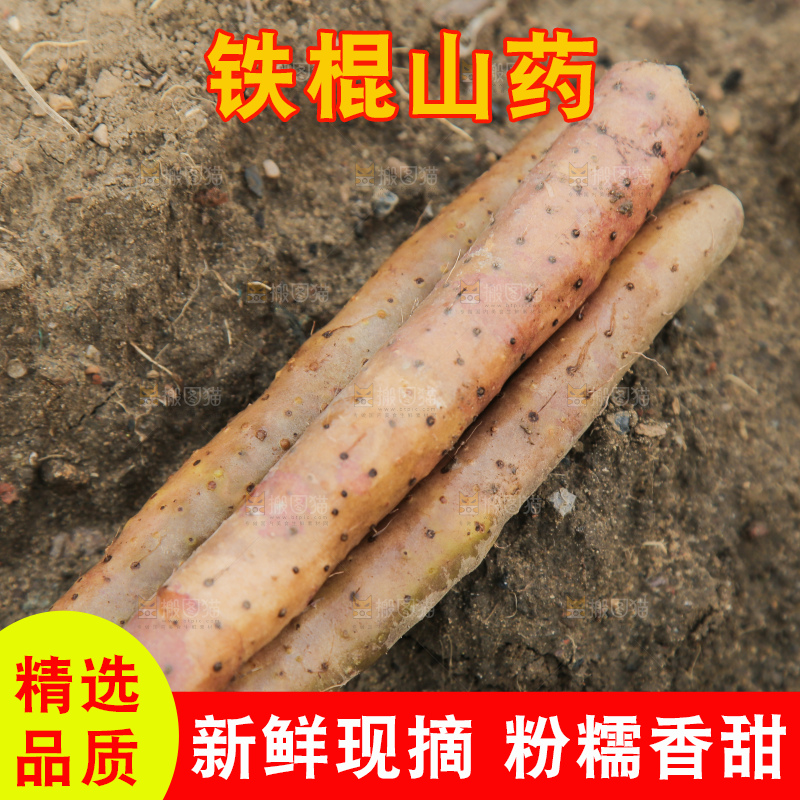 新鲜的铁棍山药