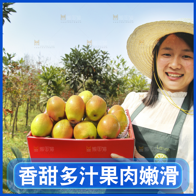 一箱红香酥梨