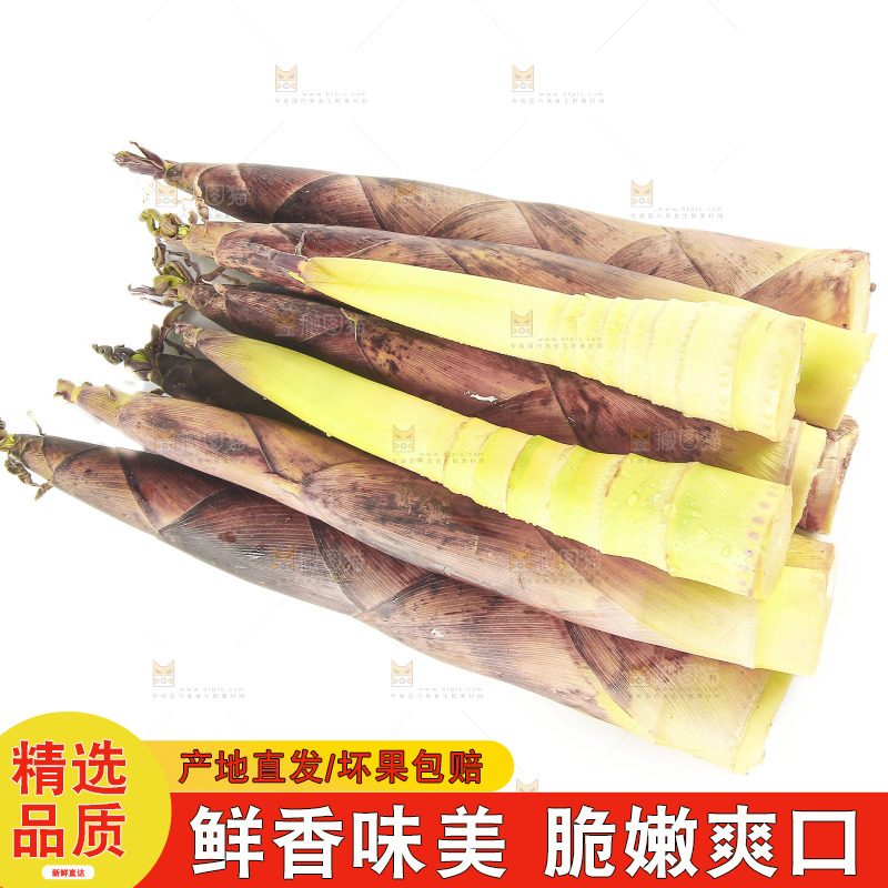 白底上放着一堆春笋