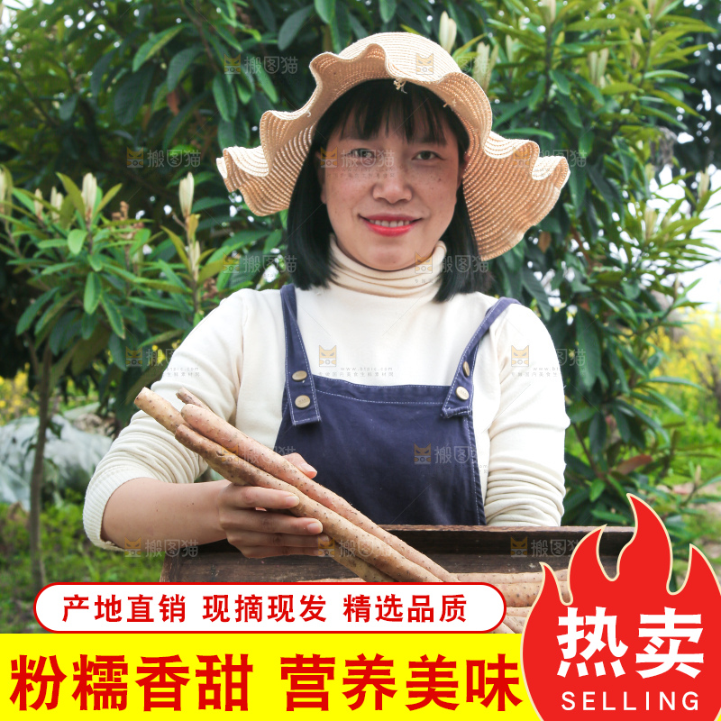 手里端着一盘铁棍山药