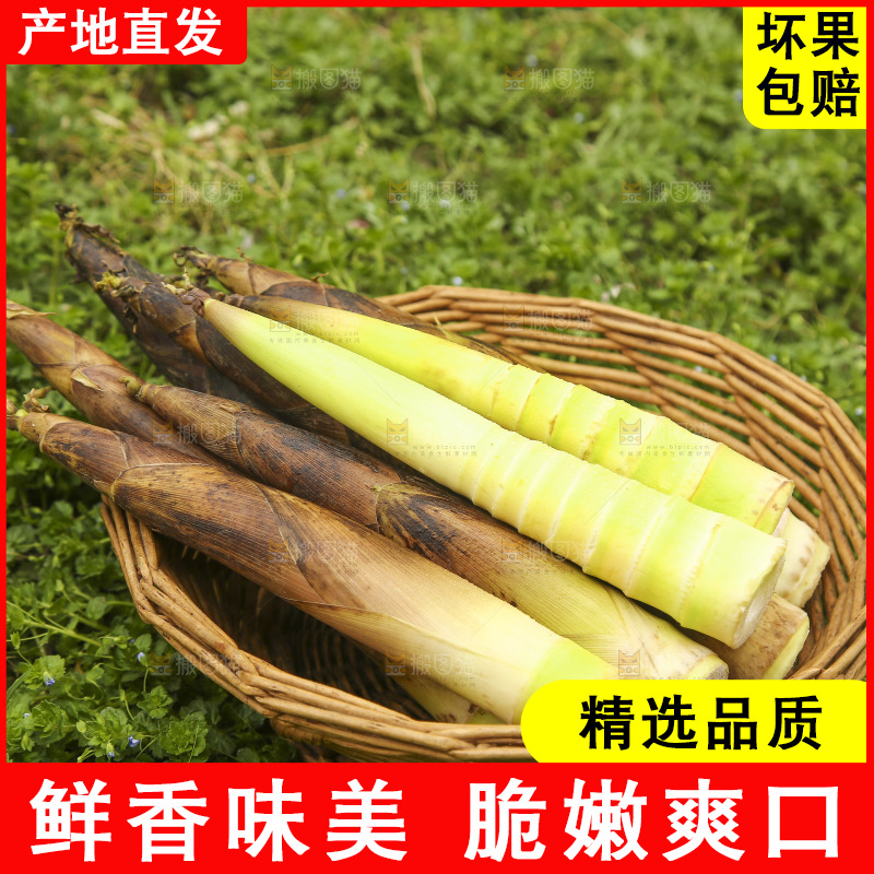 一篮临安春雷笋