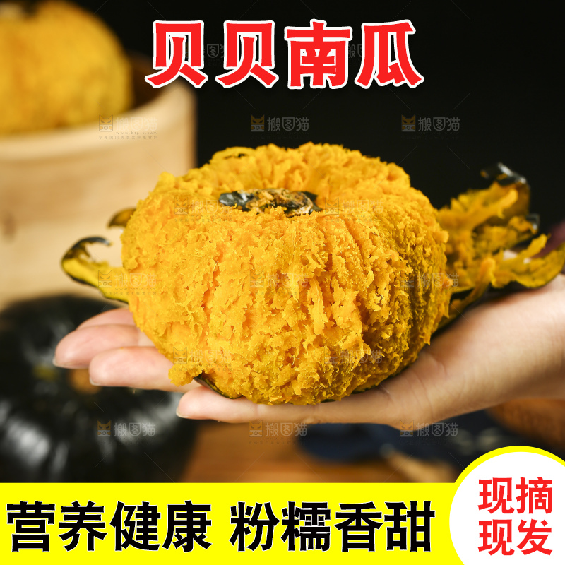 手里拿着贝贝南瓜