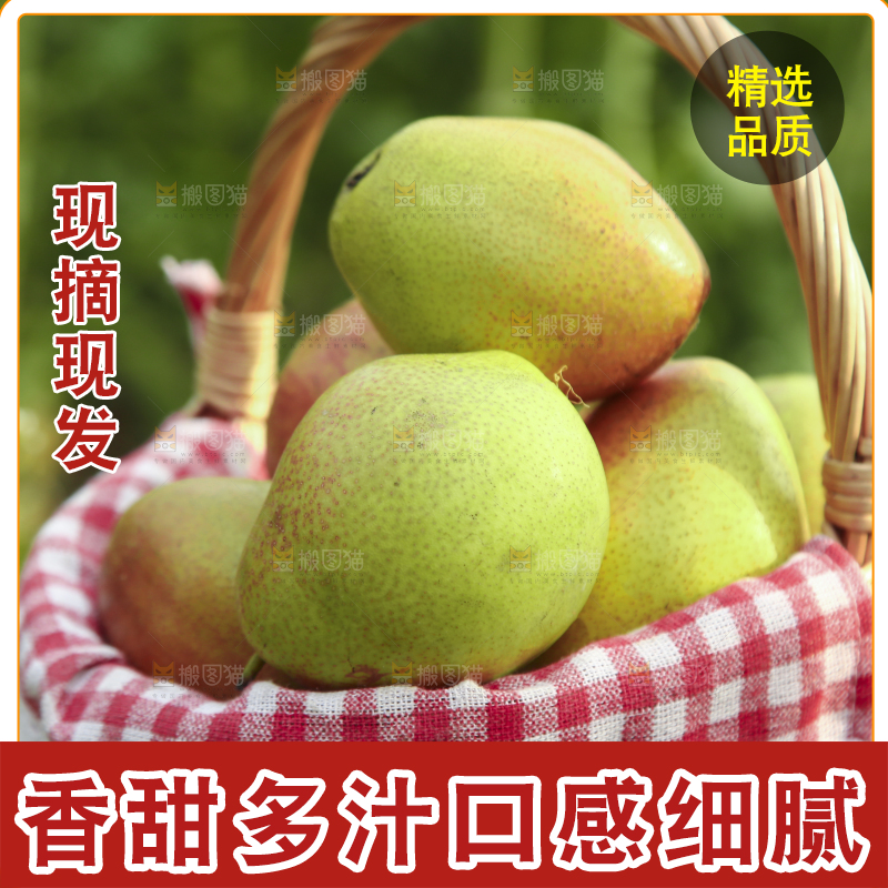 一篮新鲜红香酥梨