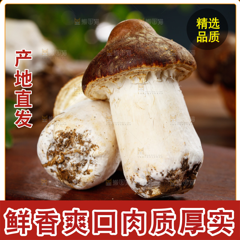 木板上放着松茸菇
