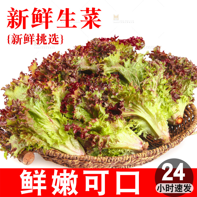 一篮紫叶生菜