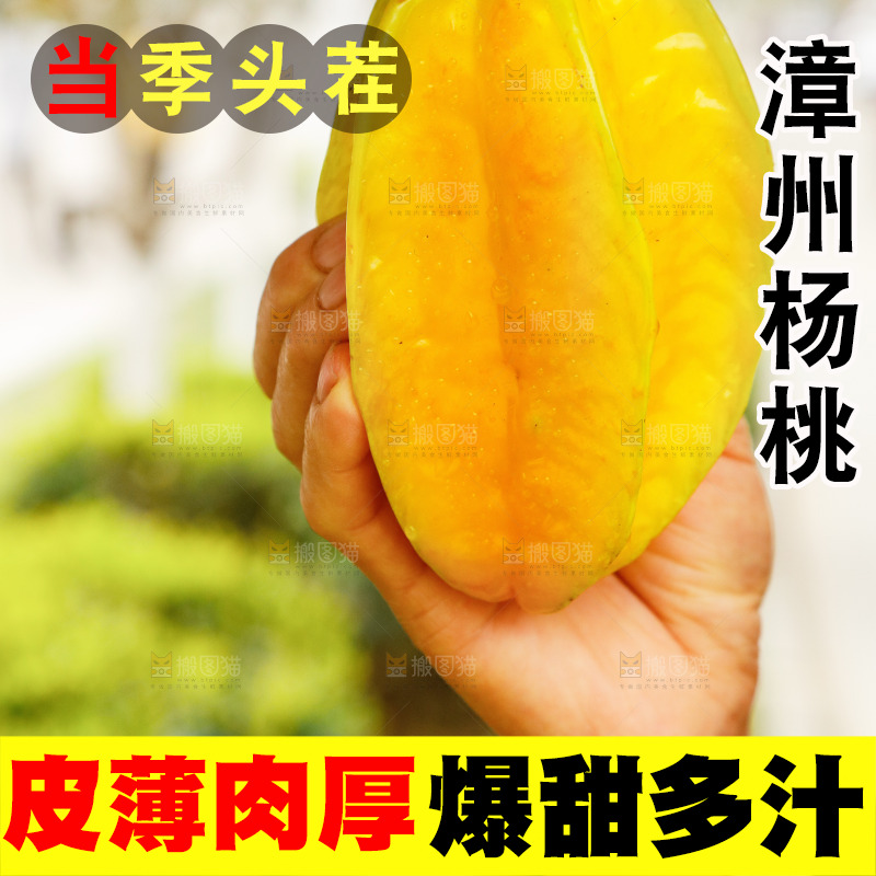 新鲜采摘杨桃