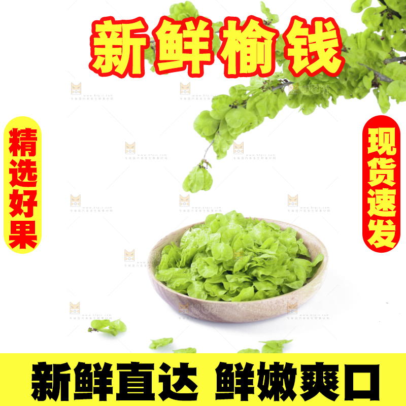 榆钱摆放在白底上