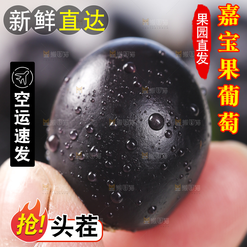 手里拿着树葡萄