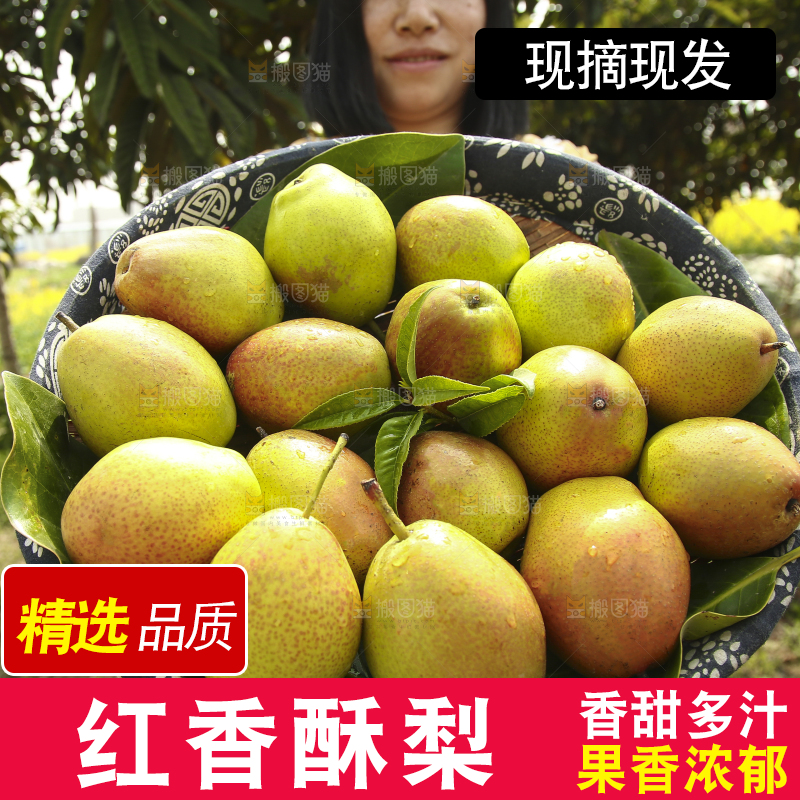 一篮香酥梨