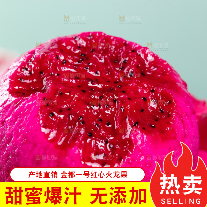 新鲜的金都一号红心火龙果
