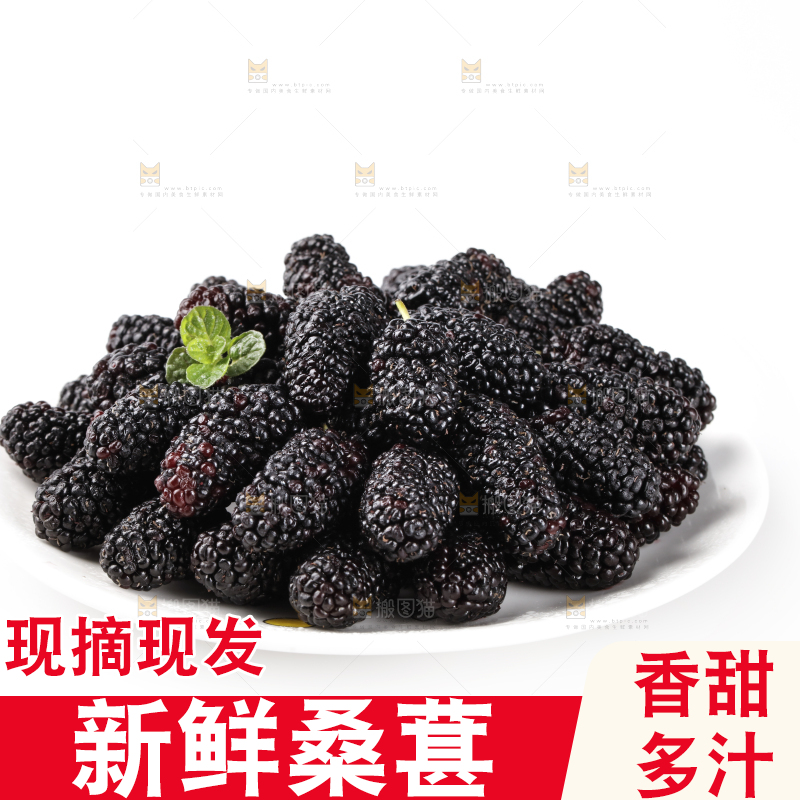 一盘桑葚