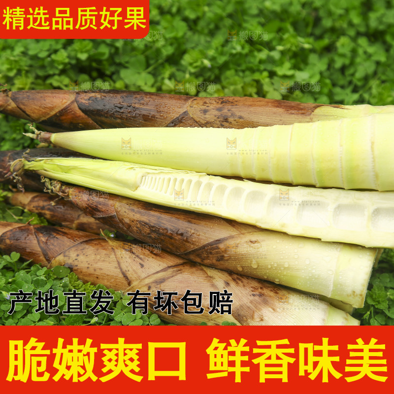 一堆临安春雷笋
