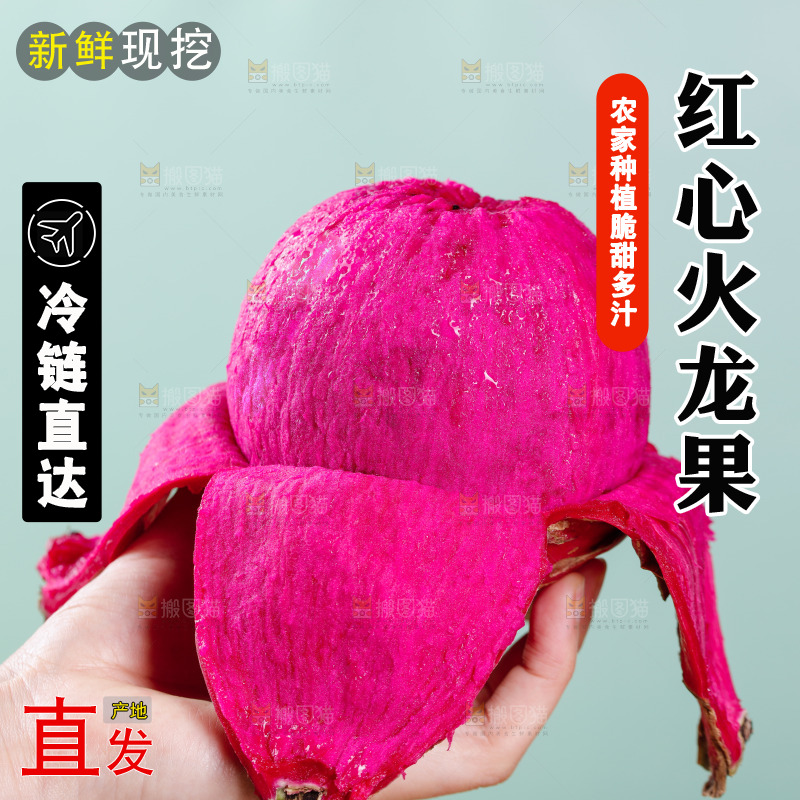 手里拿着金都一号