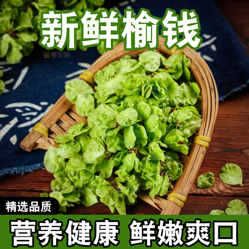 簸箕里装着榆钱