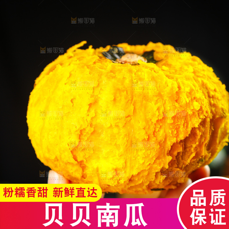 手里拿着贝贝南瓜